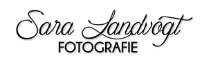 Logo Sina